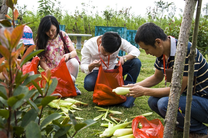 1690861423178627.jpg 13.jpg