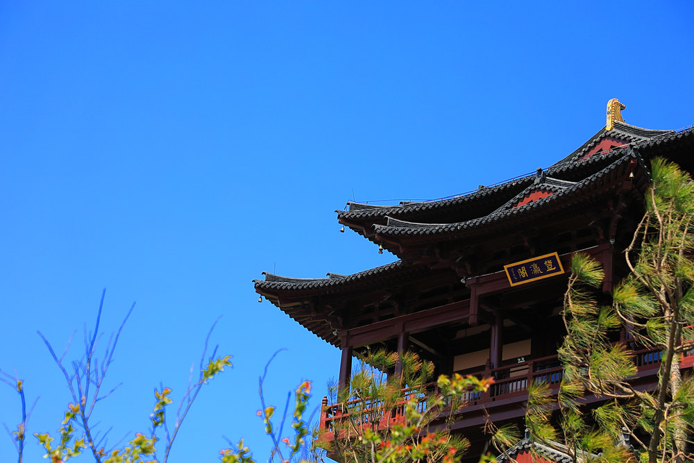 1690873667182670.jpg 2.jpg